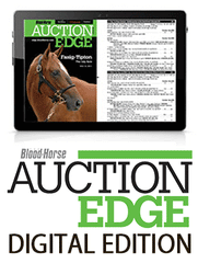 Auction Edge DIGITAL