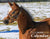 BloodHorse 2026 Wall Calendar