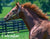 BloodHorse 2025 Wall Calendar