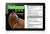 Auction Edge Digital: 2023 Equine Sales Consignor Select Yearling  and 2YO Sale
