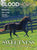 BloodHorse: January 2026 print magazine