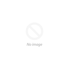 All Issues: PDF